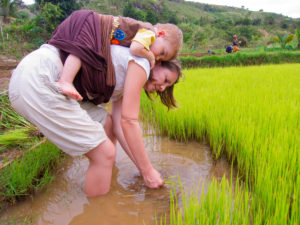 Lora's working in the rice field with Matimu strapped to her back!