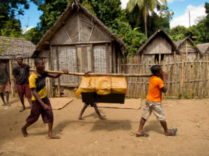 Carrying a speaker into Antenina by bamboo pole, to be used at a "tsaboraha".