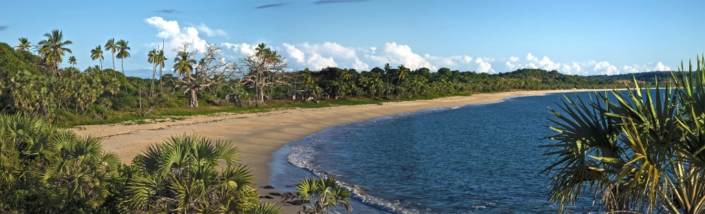 A panorama of the beach where our village is. Our house is the most prominent one - behind the palm trees in the middle of the photo.