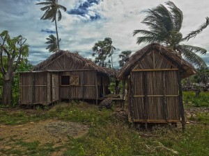 The east wind blowing strongly in a team member's village.