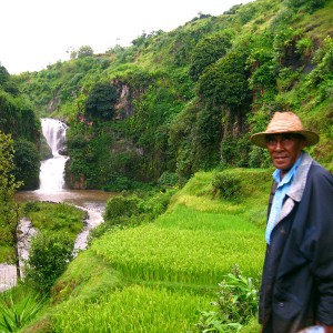 Madagascar 2 photos - our guide when hiking through the ricefields and waterfalls of Betafo