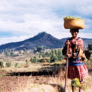 Madagascar 2002 Photos - a lady working in her fields near Tritriva