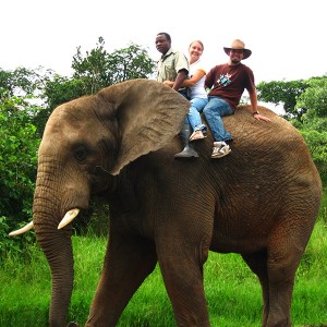 South Africa - Best Of Photos - riding an elephant near Kruger National Park