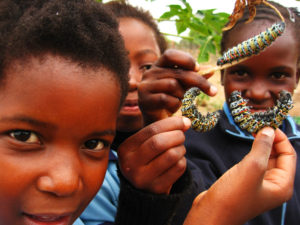 girls with mopani worms
