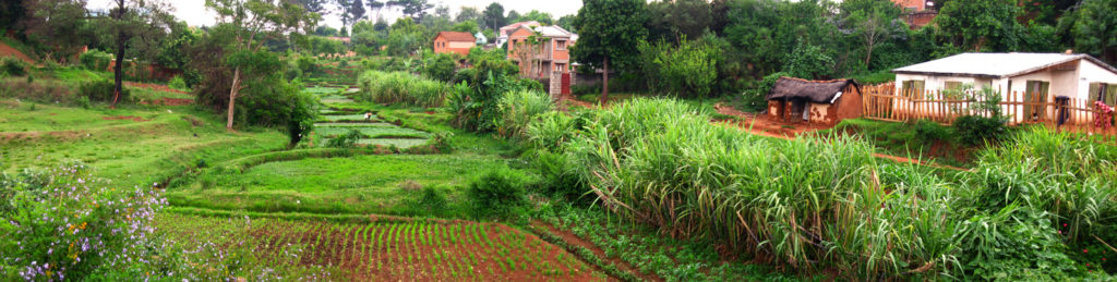 A panorama of fields in Antsirabe, taken from the main road between our house and the market.