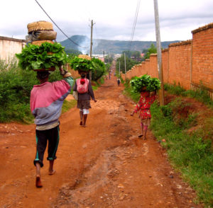 A hardworking family in Antsirabe, taking their crops to the market along the road to our home.