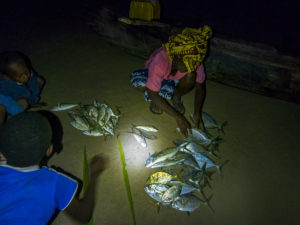 Bringing in a netfishing catch on our beach one night.